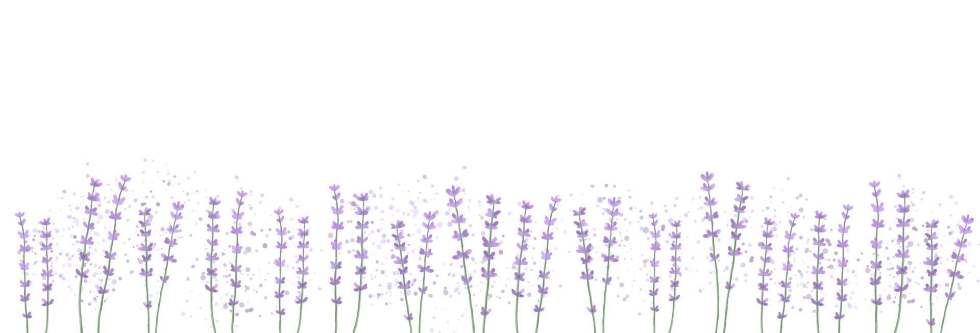 Horizontal floral background with lavender flowers. Watercolor vector illustration.