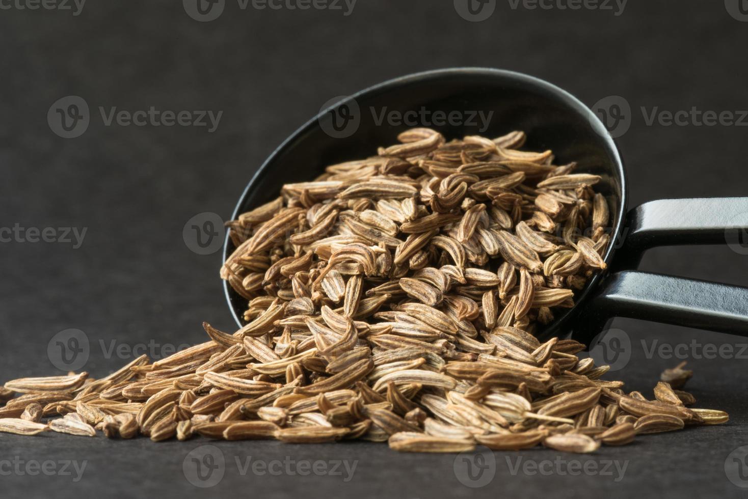 Caraway Seeds Spilled from a Teaspoon photo
