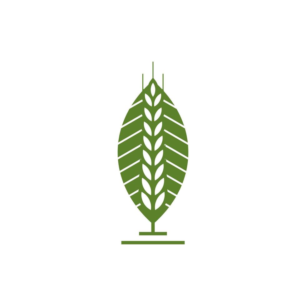 Wheat Grain Agriculture Logo Design Vector Template