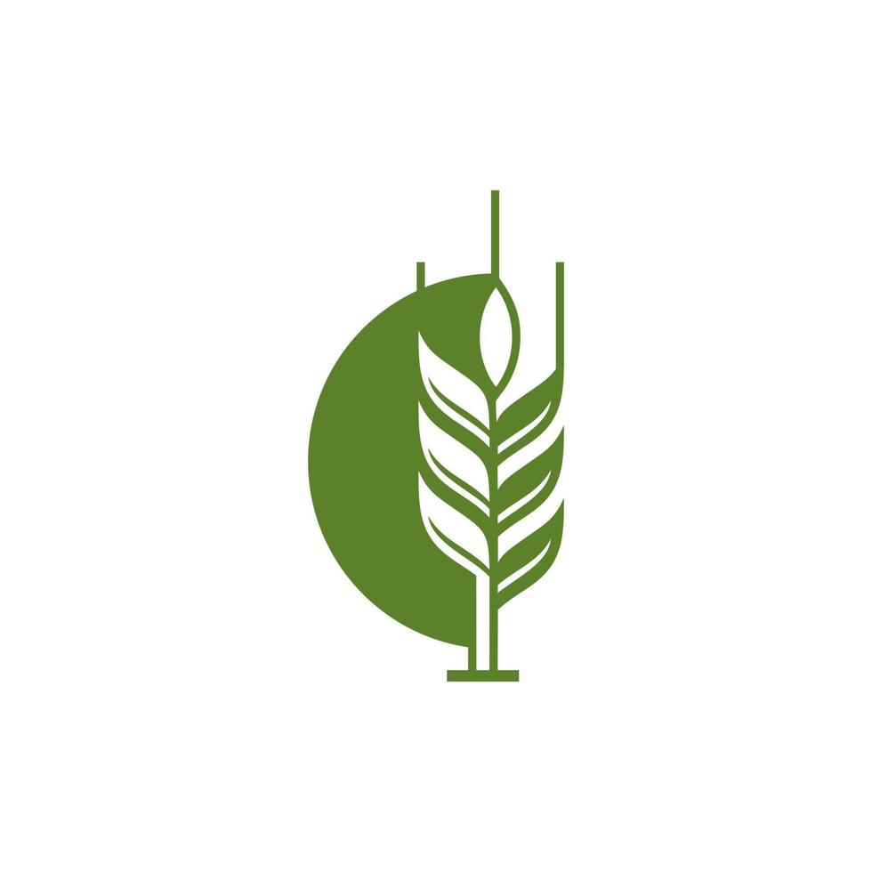 plantilla de vector de diseño de logotipo de agricultura de grano de trigo