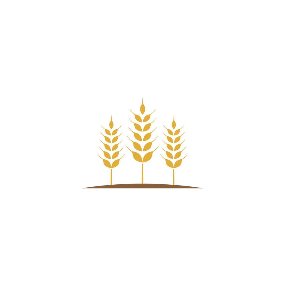 vector de plantilla de logotipo de trigo de agricultura