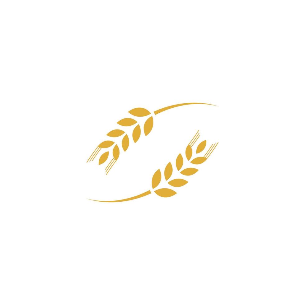 Agriculture wheat Logo Template vector