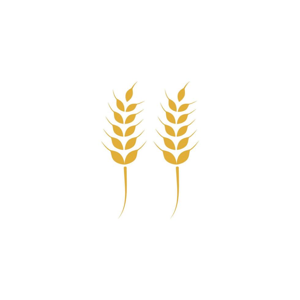 Agriculture wheat Logo Template vector