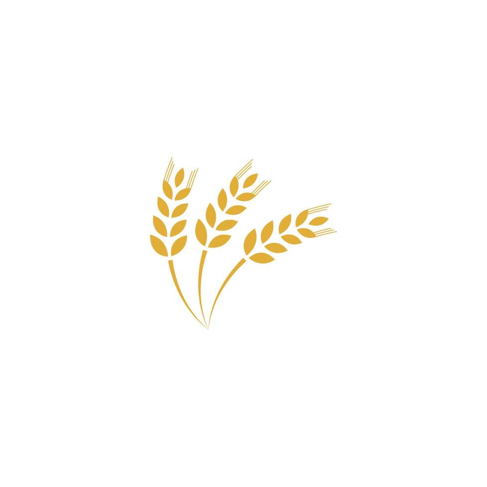 vector de plantilla de logotipo de trigo de agricultura