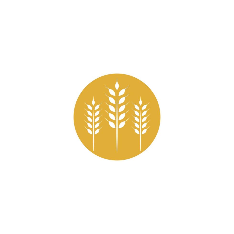 vector de plantilla de logotipo de trigo de agricultura