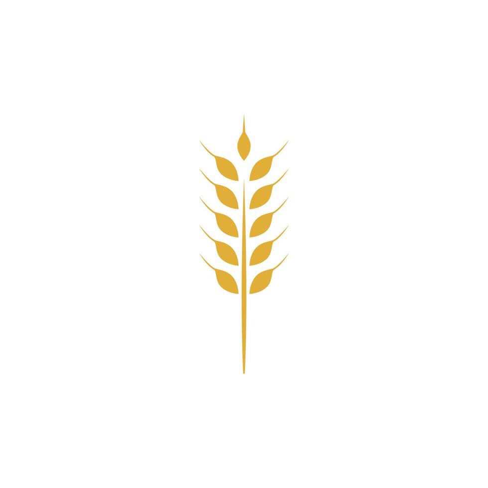 vector de plantilla de logotipo de trigo de agricultura