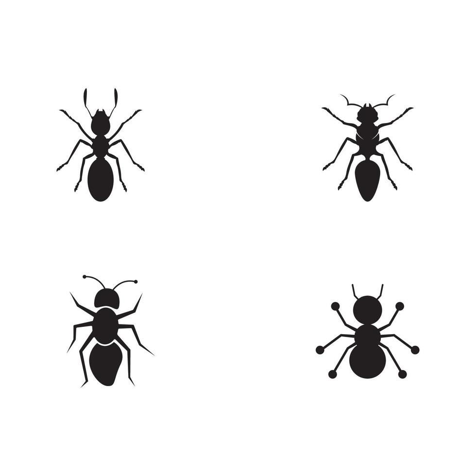 Ilustración de vector de plantilla de logotipo de hormiga