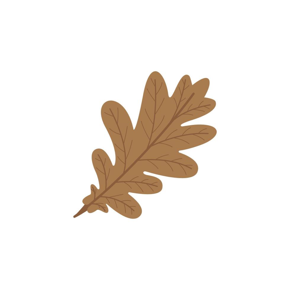 oak leaf background vector