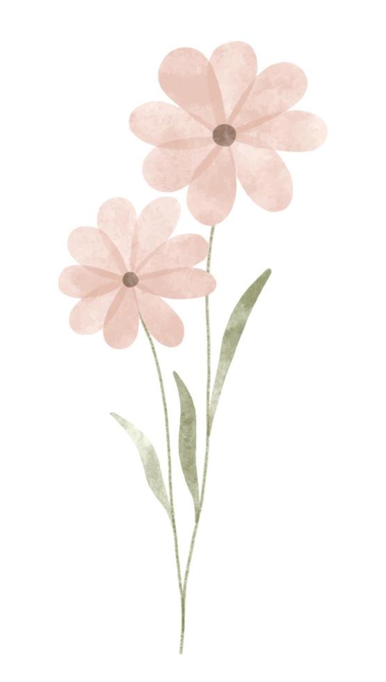 Watercolor trendy flower. Vector illustration for web, app and print. Elegant feminine shape floristic isolated daisies flowers. Garden, botanical, minimalistic floral element.