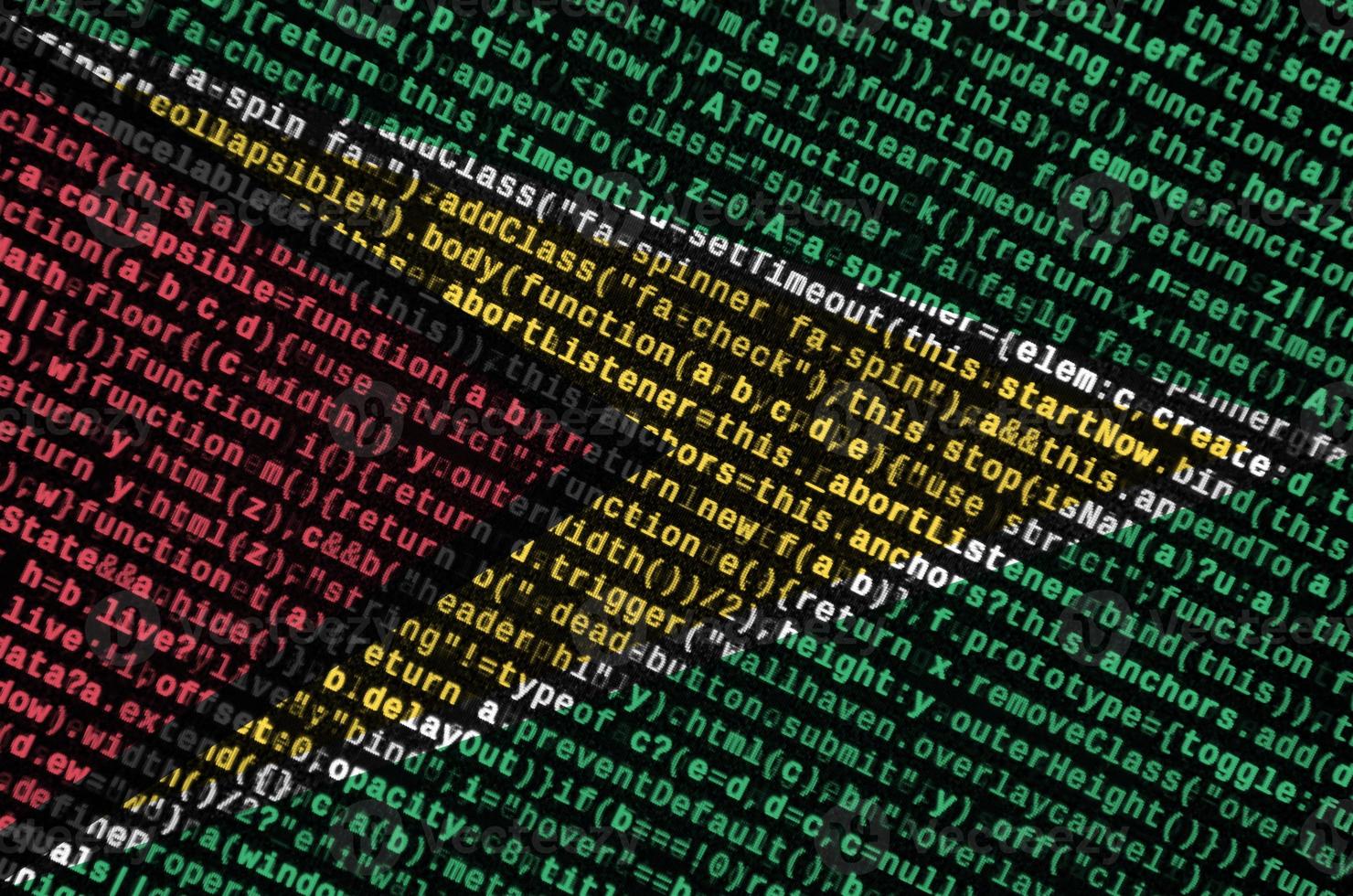 Guyana flag is depicted on the screen with the program code. The concept of modern technology and site development photo
