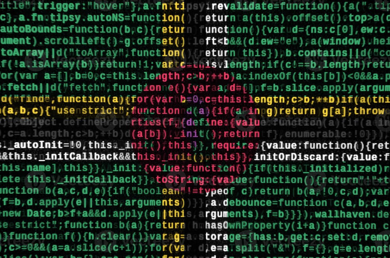 Dominica flag is depicted on the screen with the program code. The concept of modern technology and site development photo