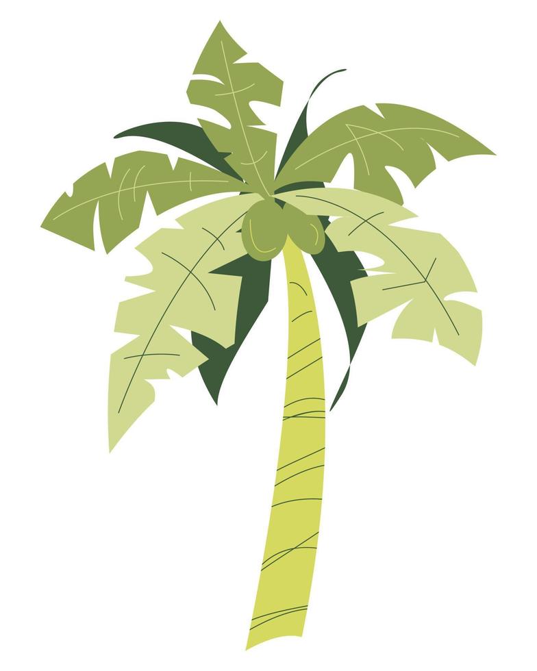 coconut tree icon. concept of plant, tree, green, fruit, nature, etc. flat vector illustration