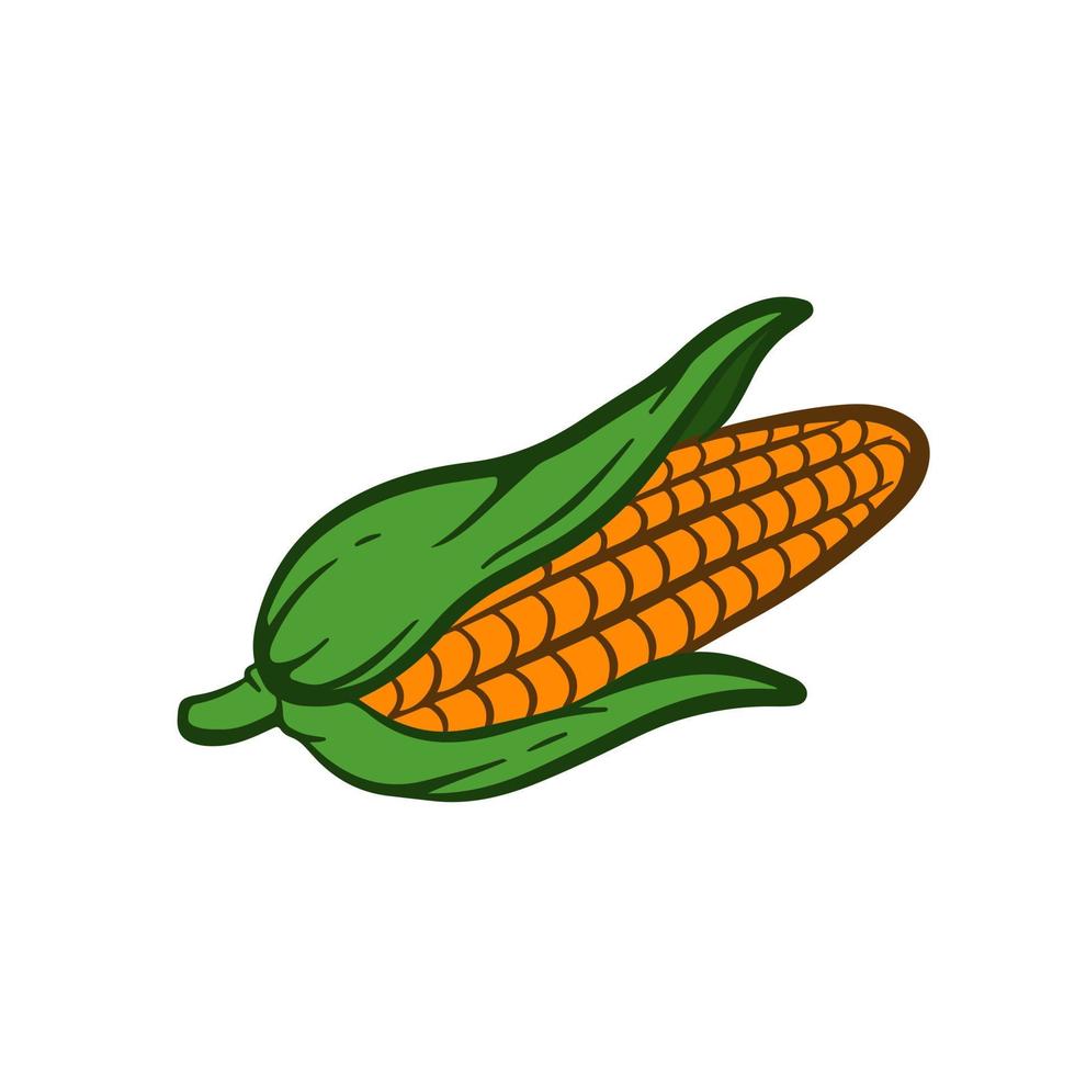 hand drawn corn clipart vector