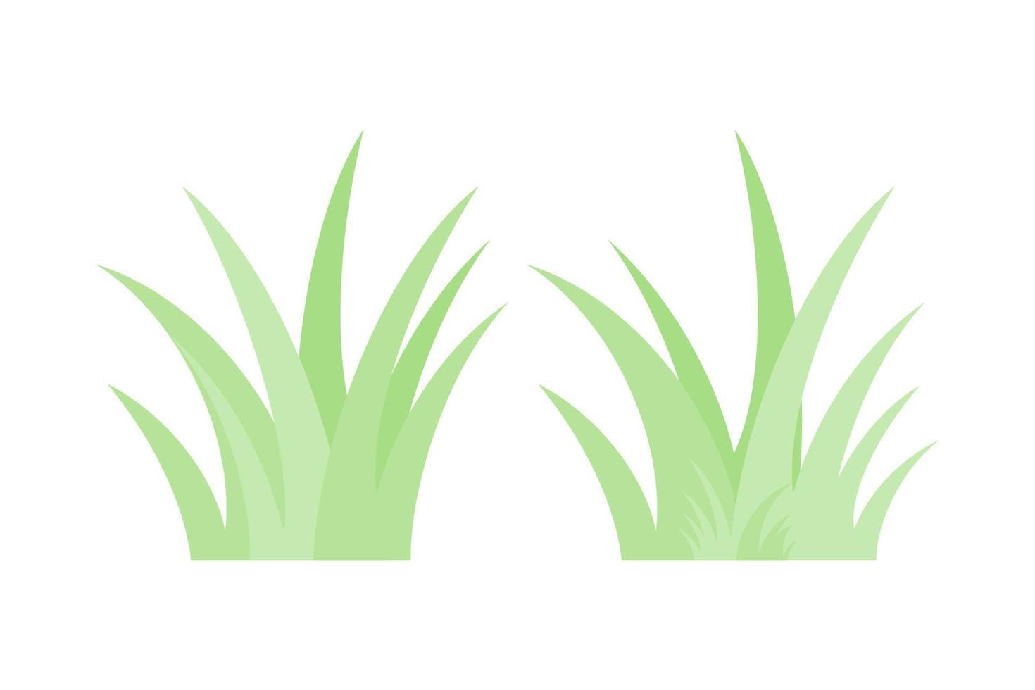 Green Grass Border With White Background, Vector Illustration