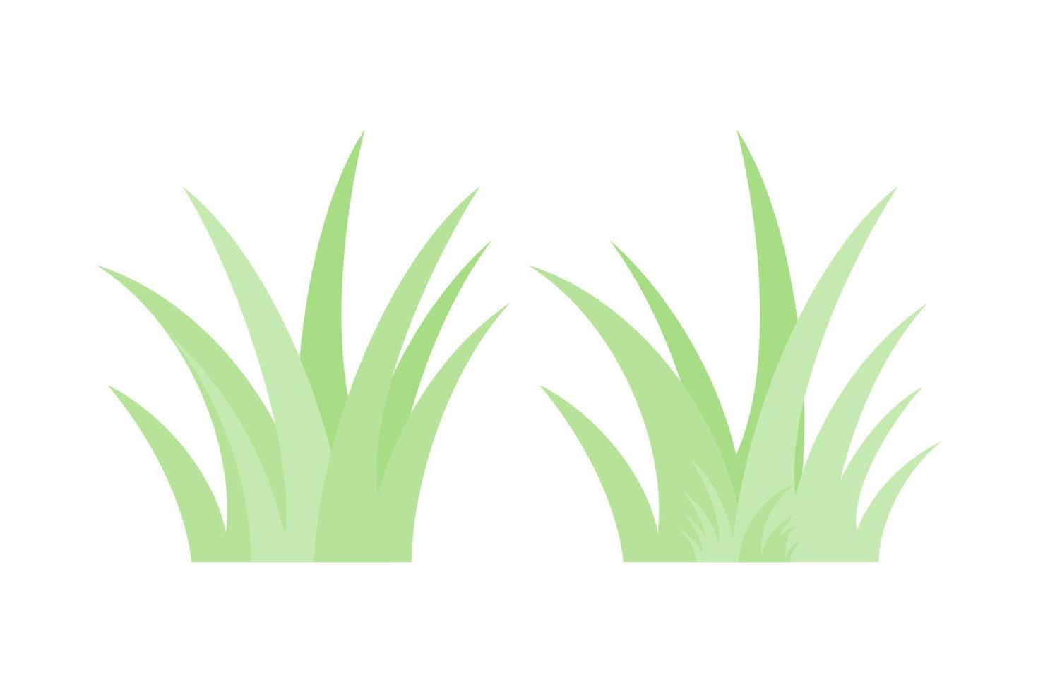 Borde de hierba verde con fondo blanco, ilustración vectorial vector