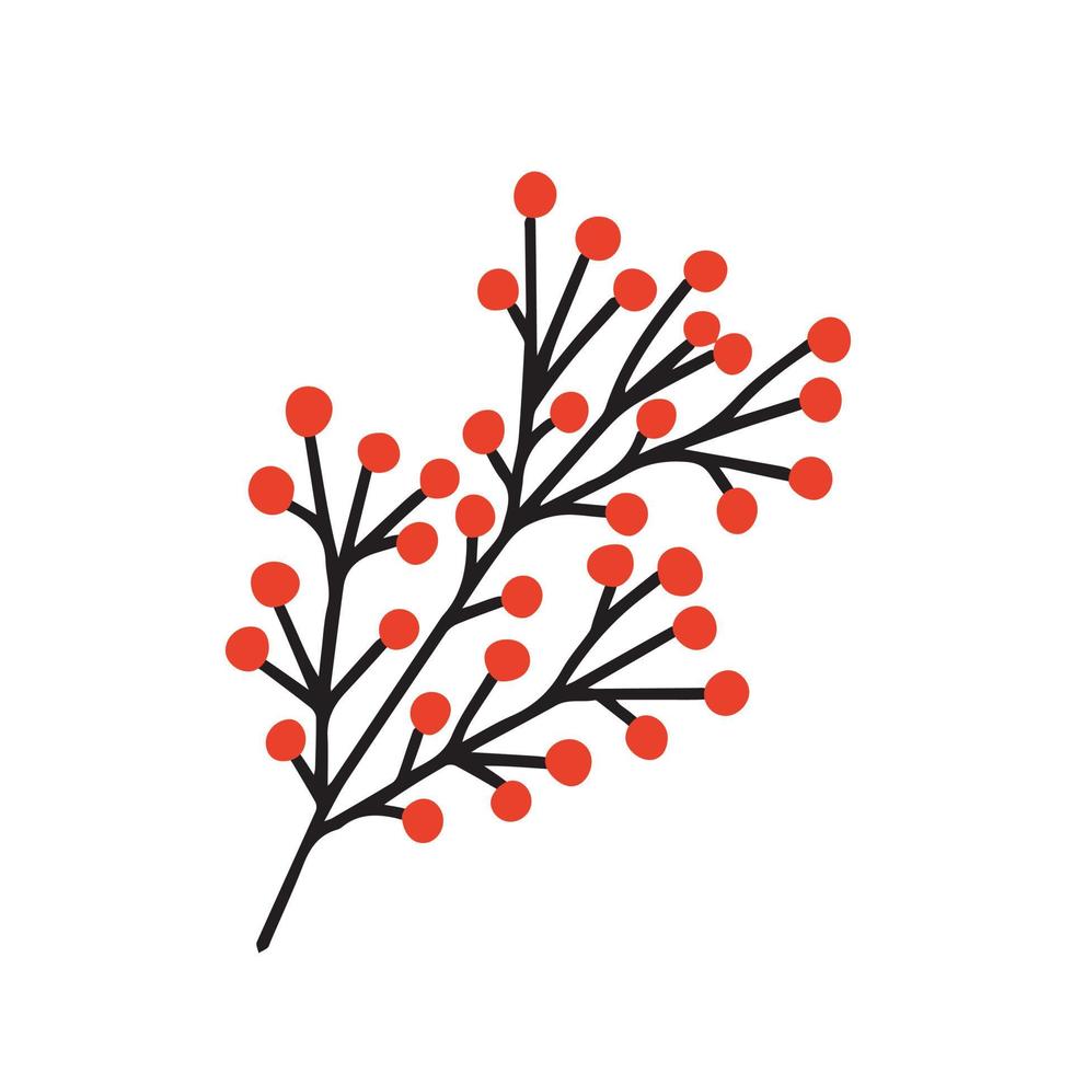 Vector doodle nothern plant with red berries. Hand drawn Christmas witner plant with berries