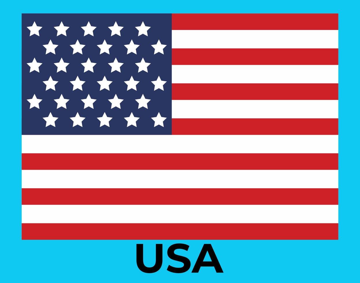 USA National Flag Vector illustration,  the United States of American Flag