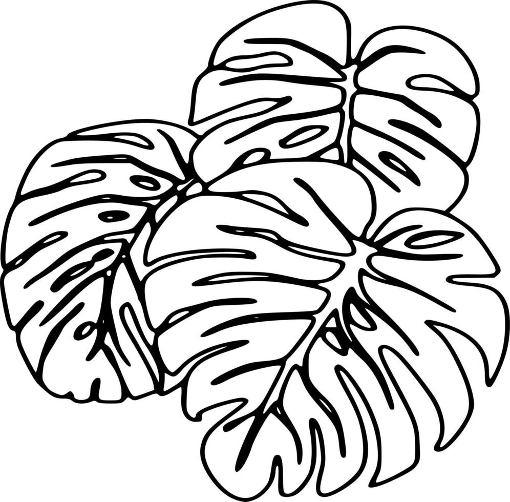 Black and white vector flowers