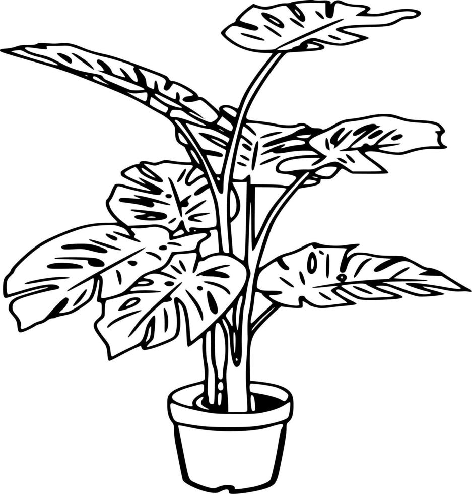 flores vectoriales en blanco y negro vector