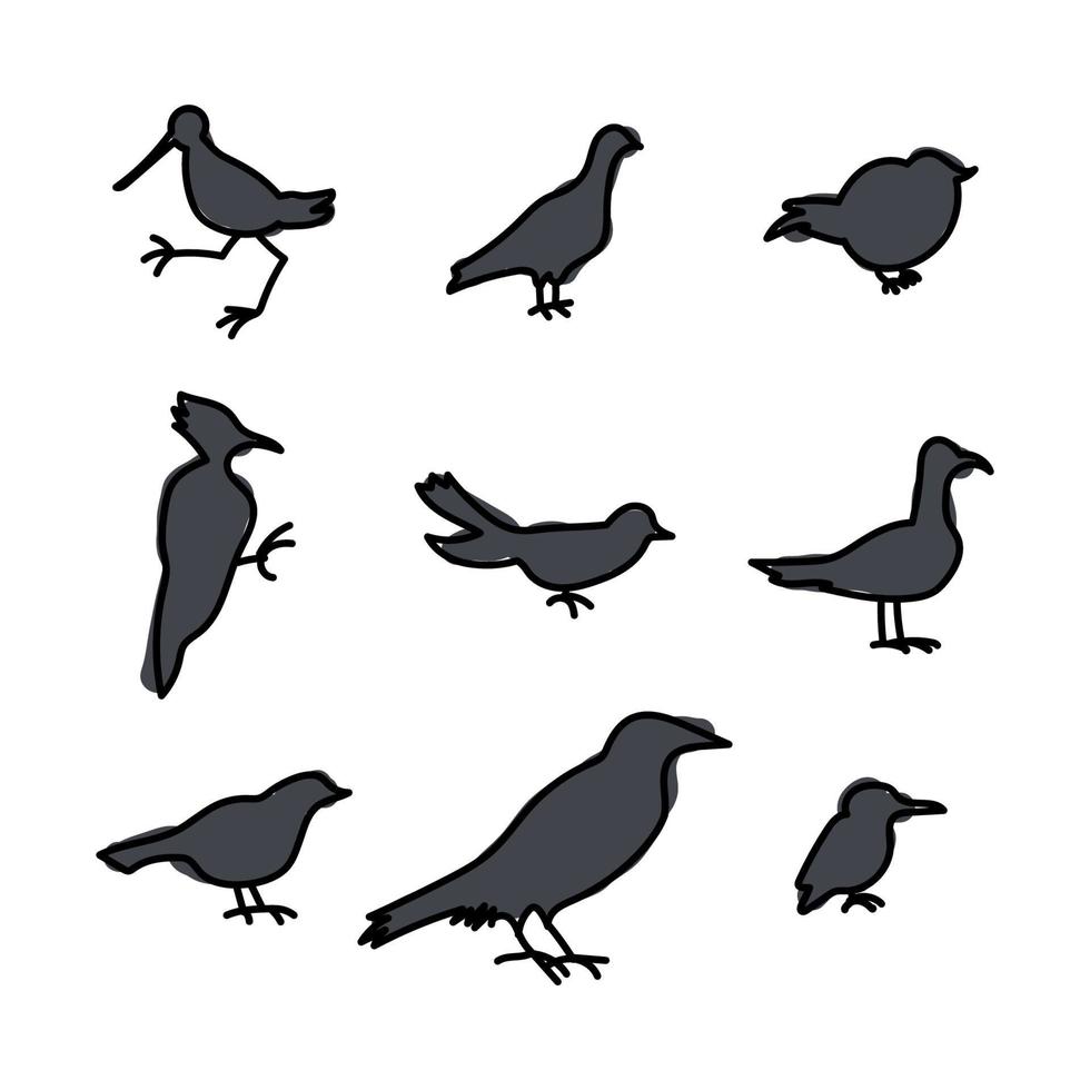 sombras de diferentes pájaros vector