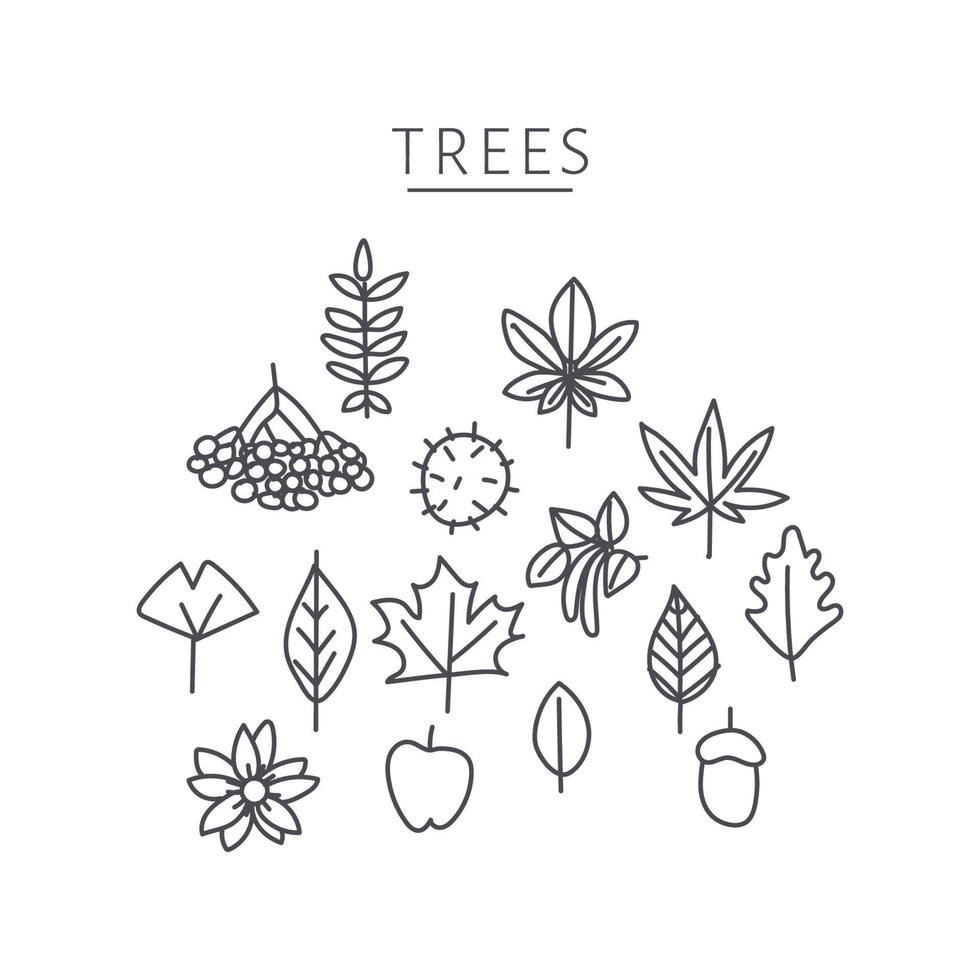 Tree Leaves Collection vector