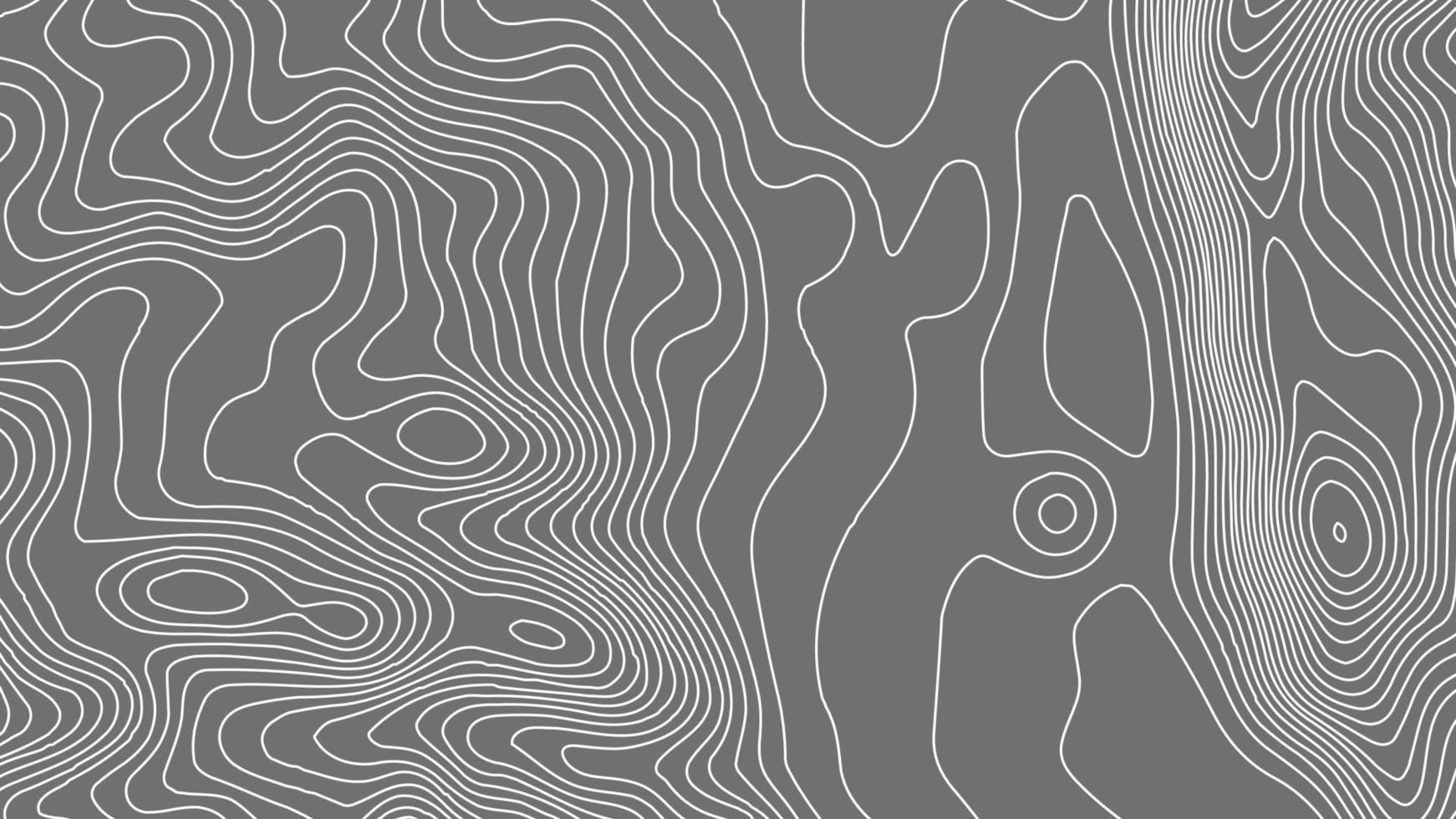 Grey contours vector topography. Geographic mountain topography vector