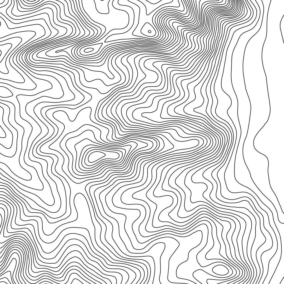 Topographic map contour background. Topo map with elevation. Contour map vector. Geographic World Topography map grid abstract vector illustration .