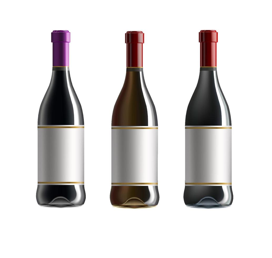 Wine bottles vector