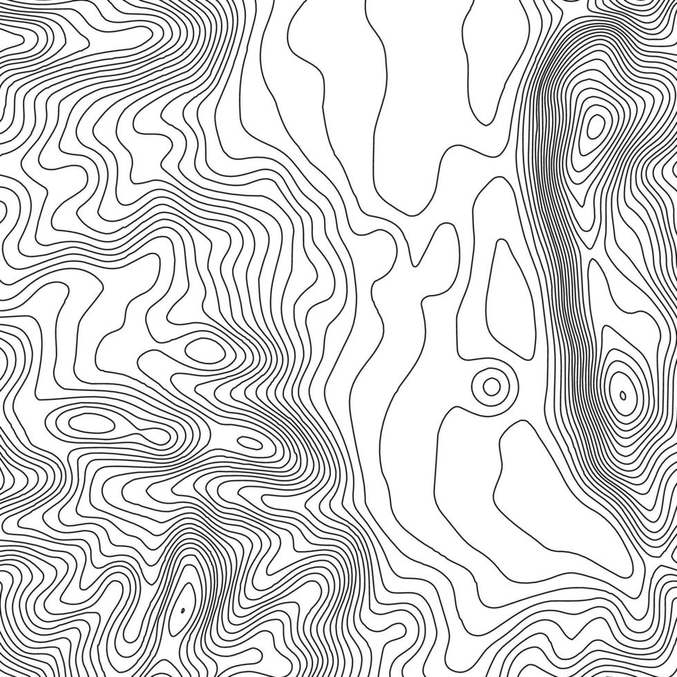 fondo de contorno del mapa topográfico. mapa topográfico con elevación. vector de mapa de contorno. Ilustración de vector abstracto de cuadrícula de mapa de topografía mundial geográfica.