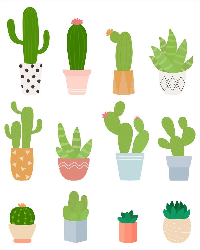 Cute cactus plant in pots.  Indoor plants in a flat style. Vector illustration set.