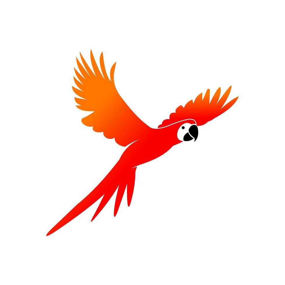 flying parrots logo vector