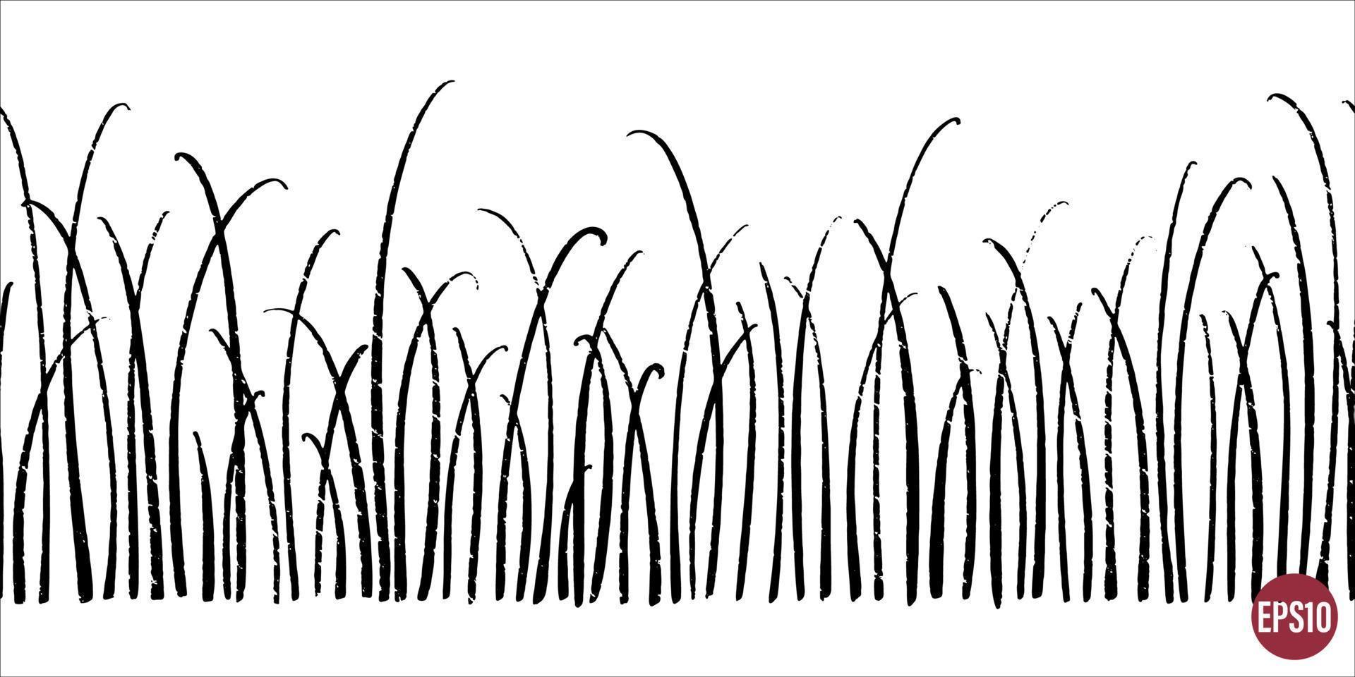 Vector seamless border with ink drawing floral elements. Hand drawn monochrome horizontal background.