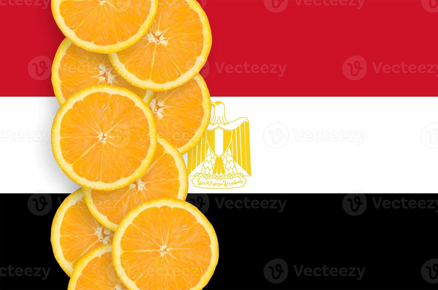 Egypt flag and citrus fruit slices vertical row photo