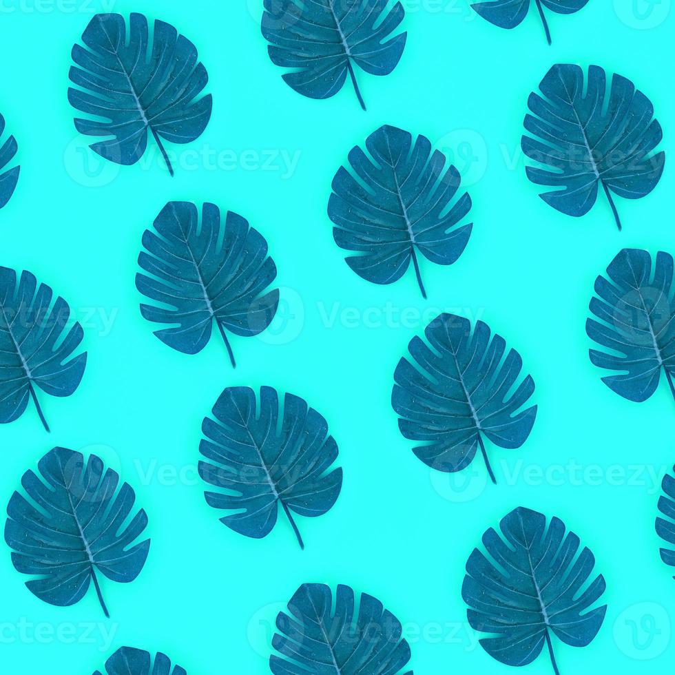 Tropical palm monstera leaves lies on a pastel colored paper. Nature summer concept pattern. Flat lay composition. Top view photo