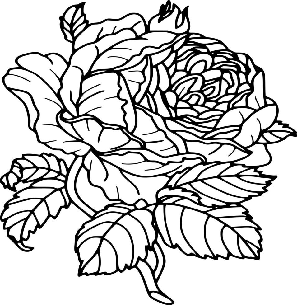 flores vectoriales en blanco y negro vector