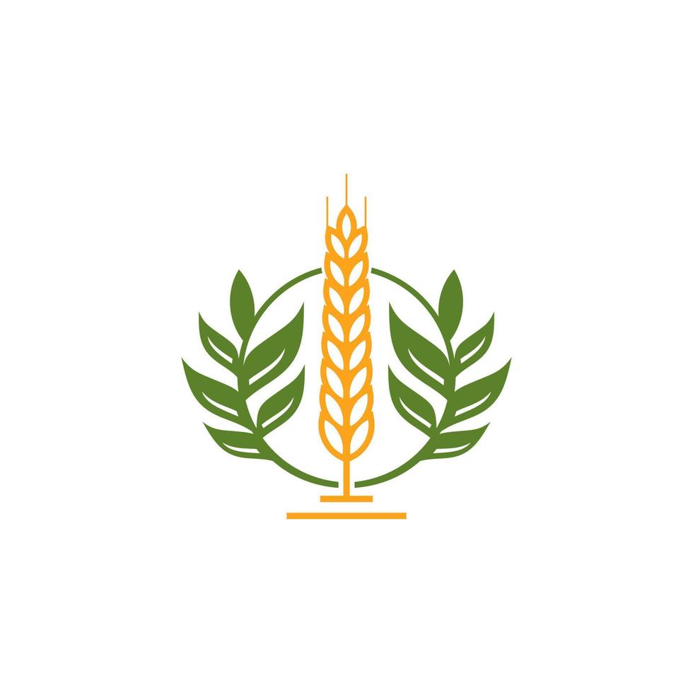 Wheat Grain Agriculture Logo Design Vector Template