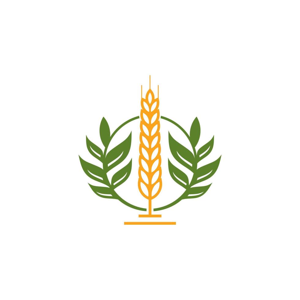 Wheat Grain Agriculture Logo Design Vector Template