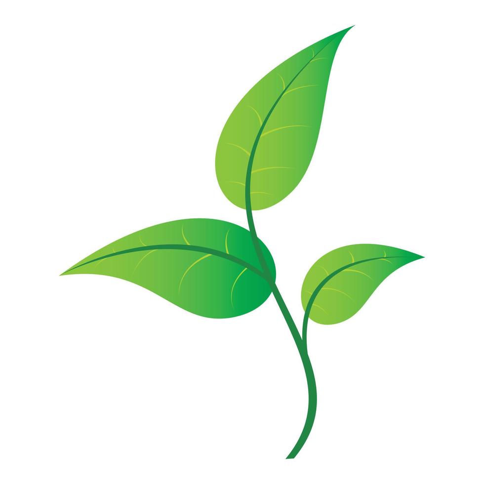 Leaf single icon vector