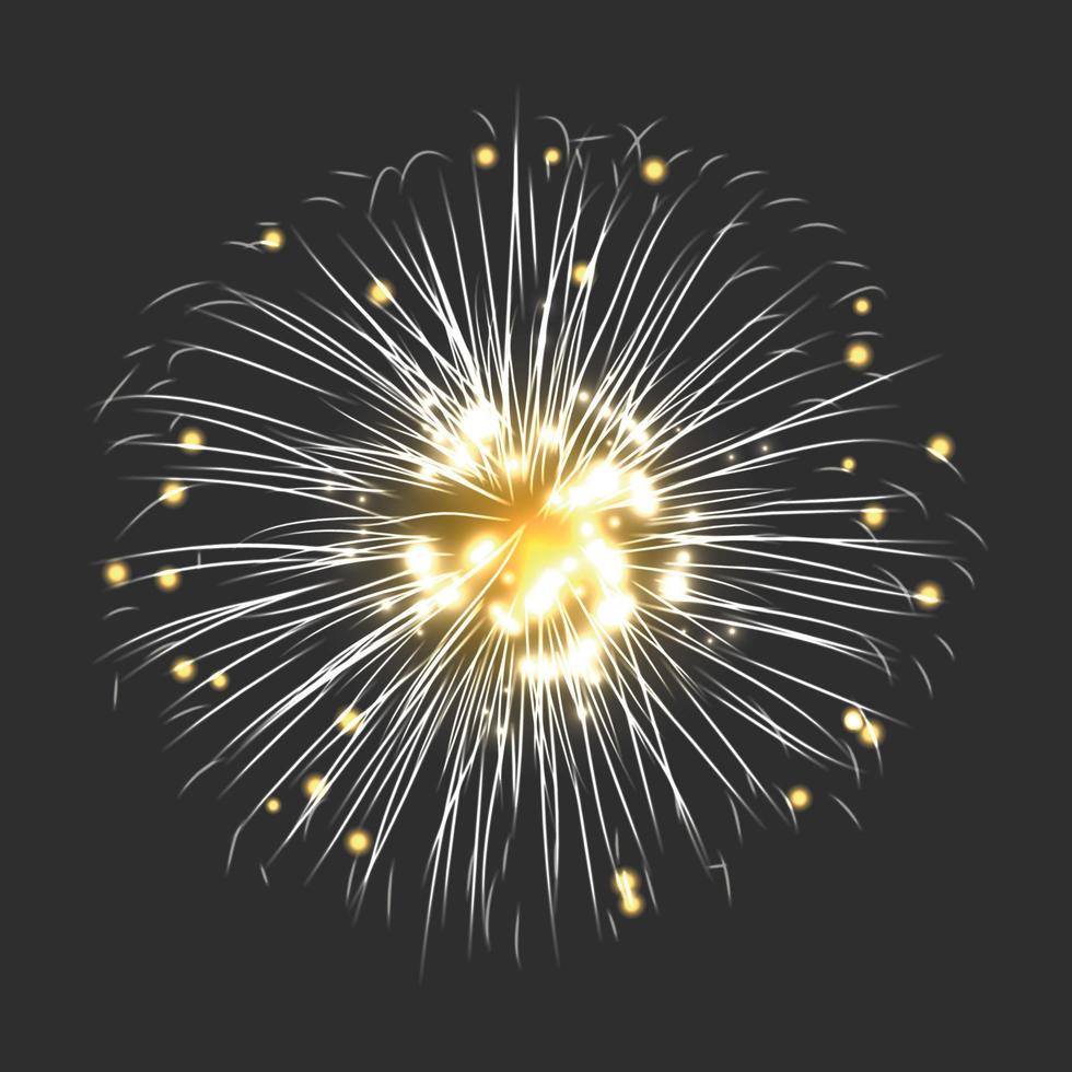 New firework sign vector