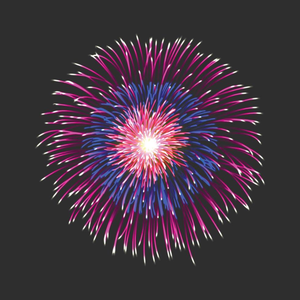 New firework sign vector