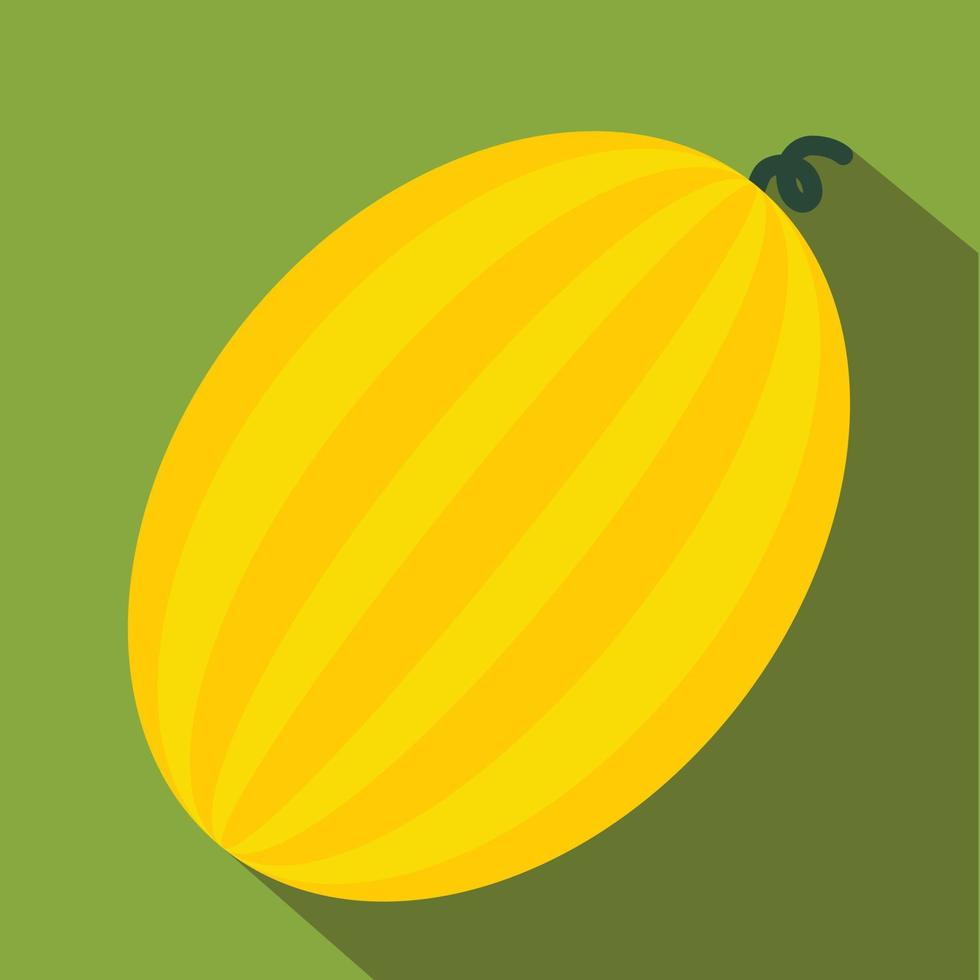 Melon flat icon vector