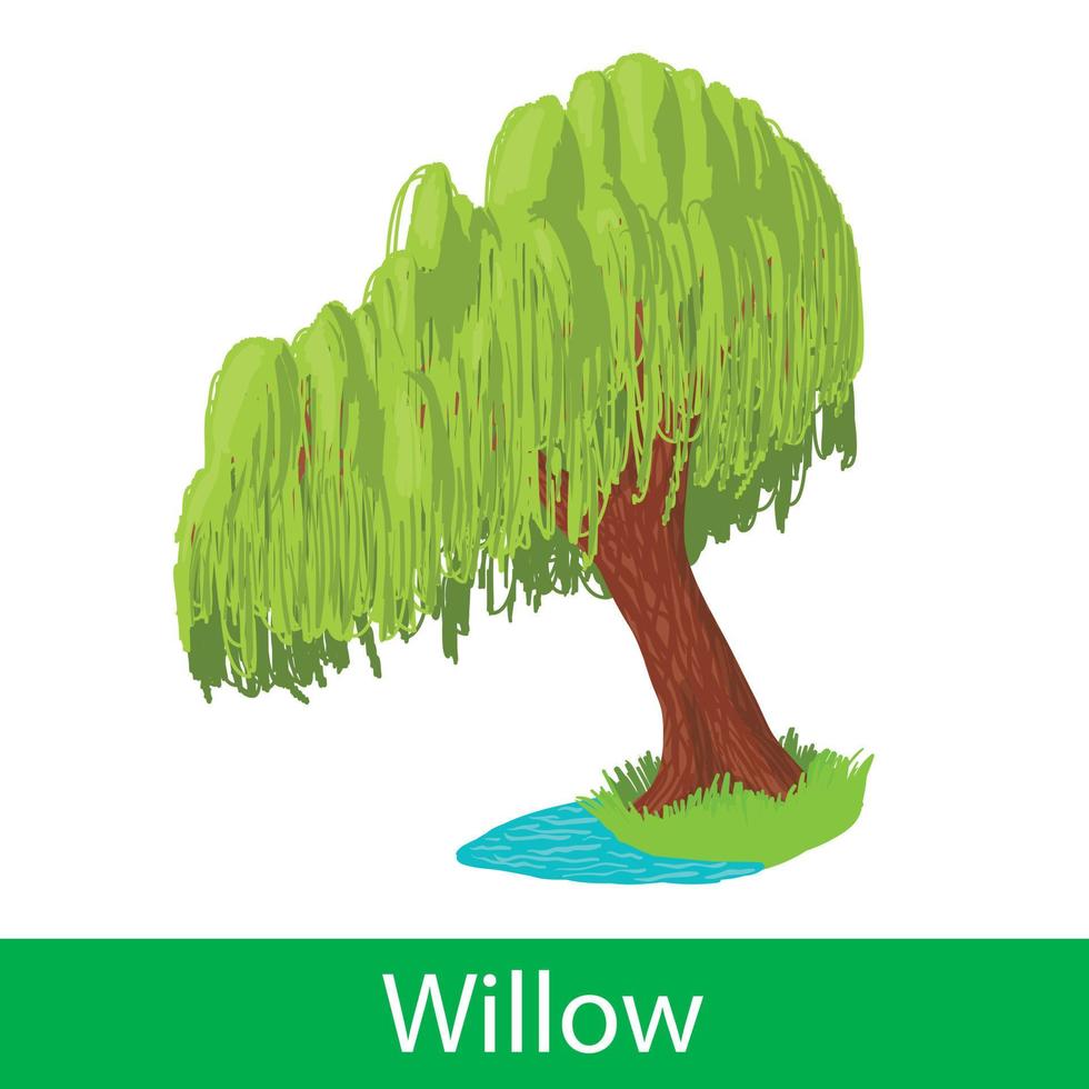 Willow cartoon tree vector