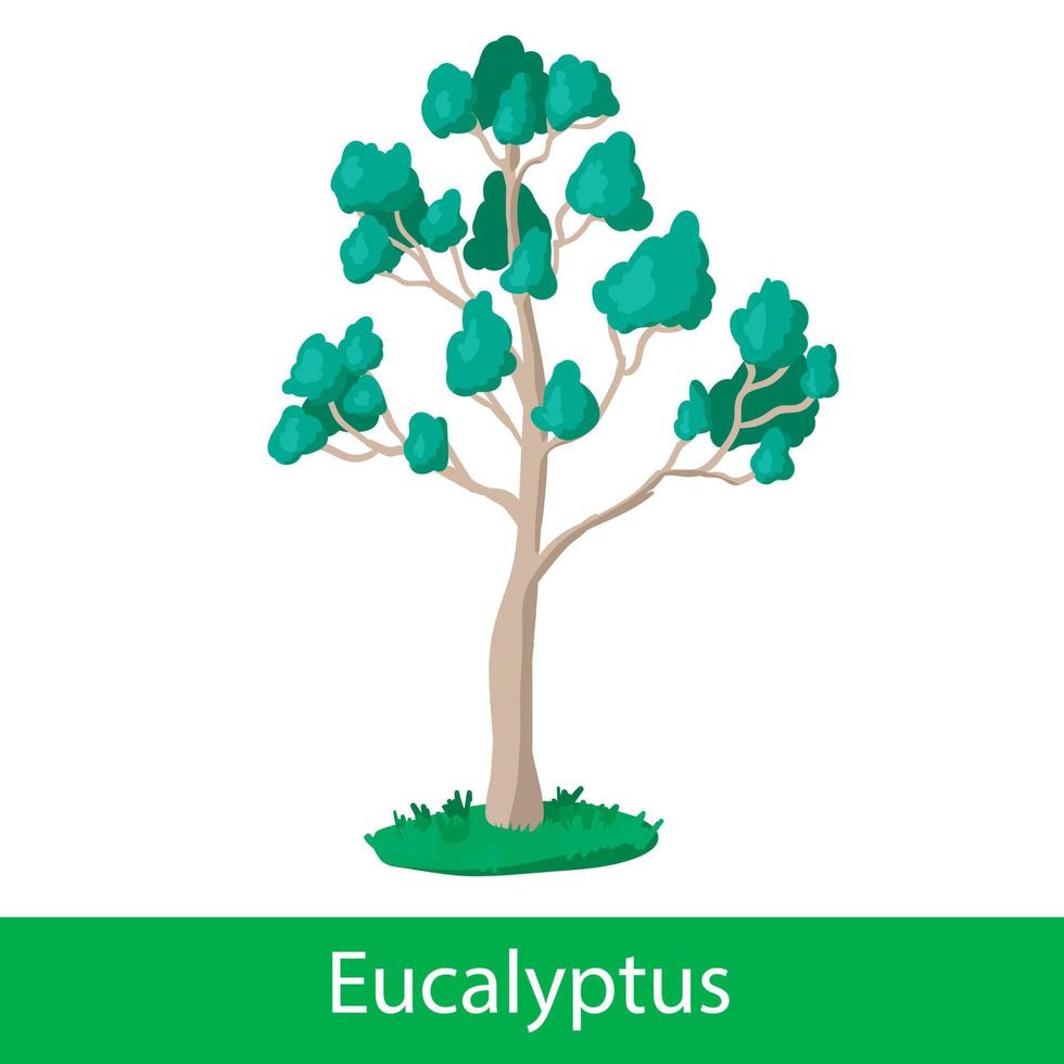 árbol de dibujos animados de eucalipto vector