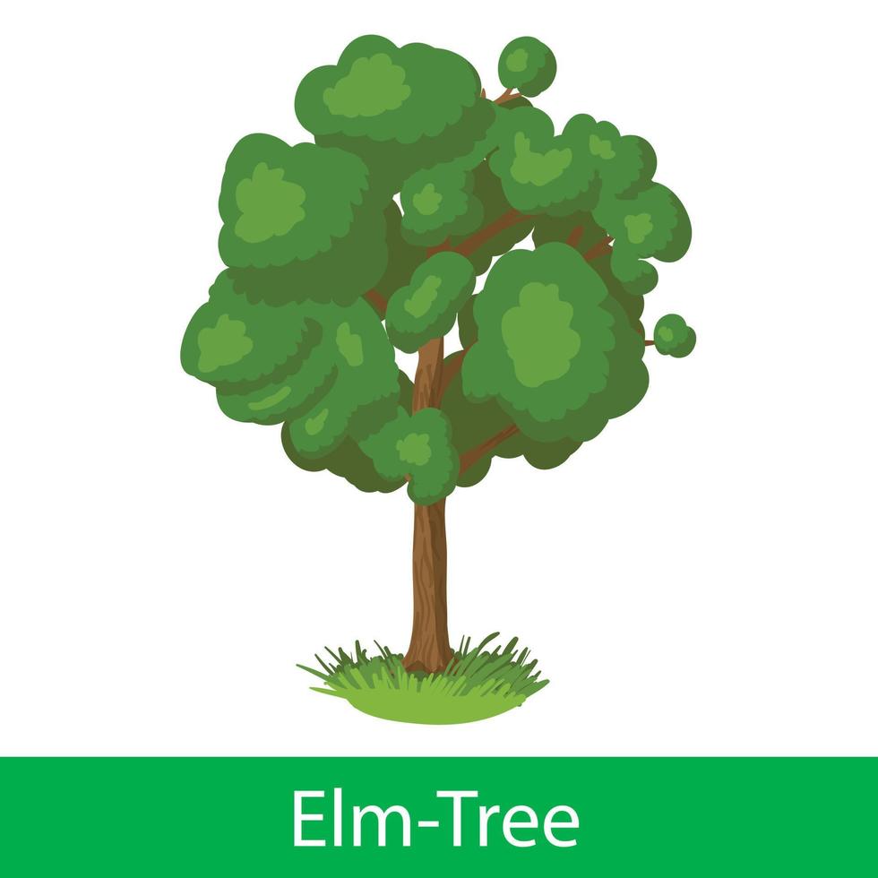 Elm-Tree cartoon icon vector