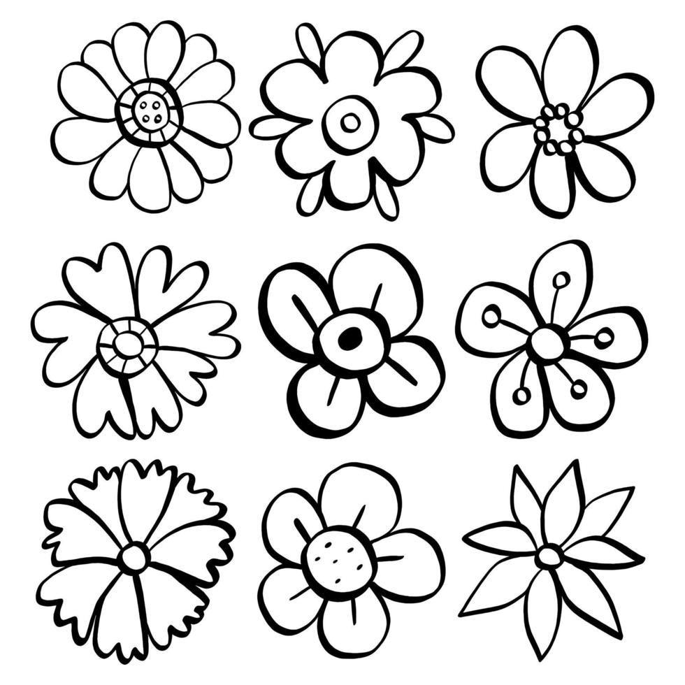 Black line doodle flowers on white background. Vector illustration about nature.