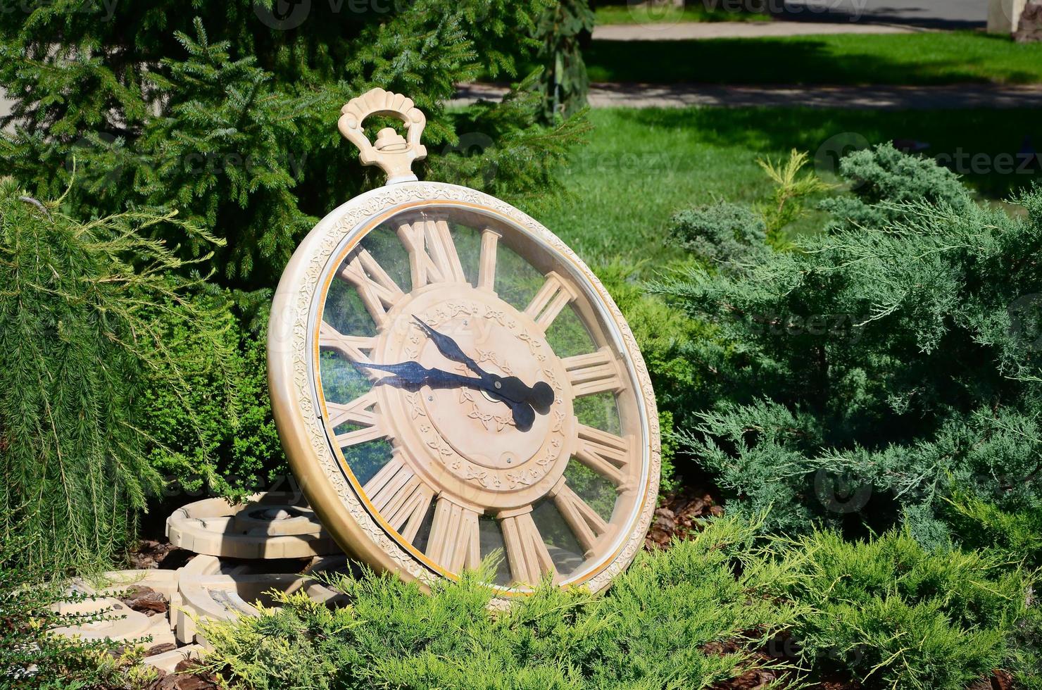 Street clock in a park under branches of trees close up photo