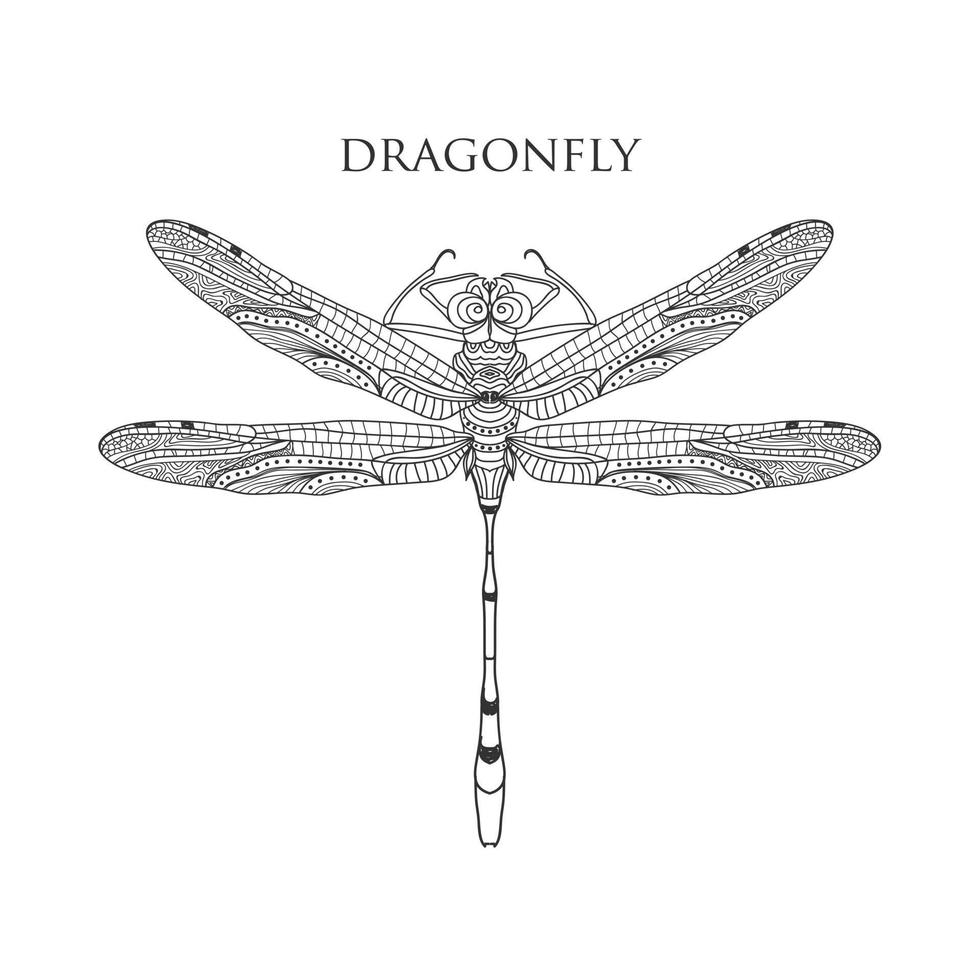 vector drawing black dragonfly on a white background