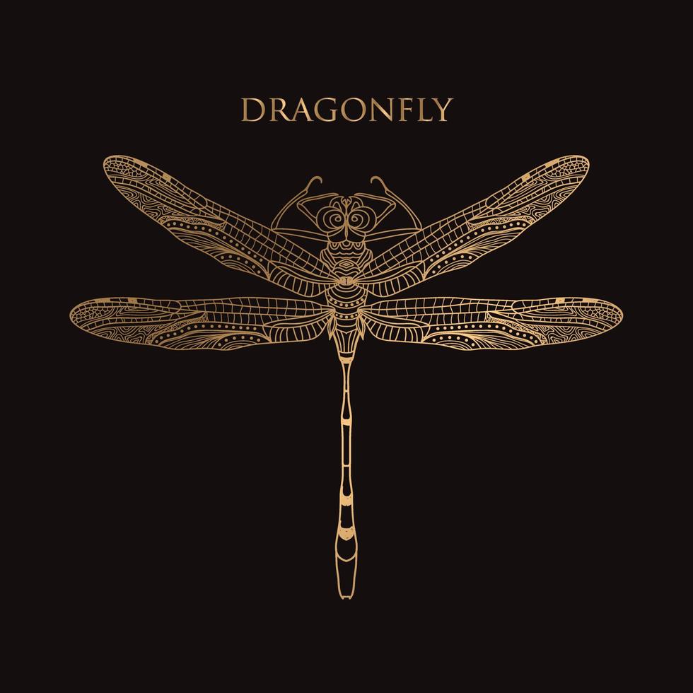 vector drawing golden dragonfly on a black background