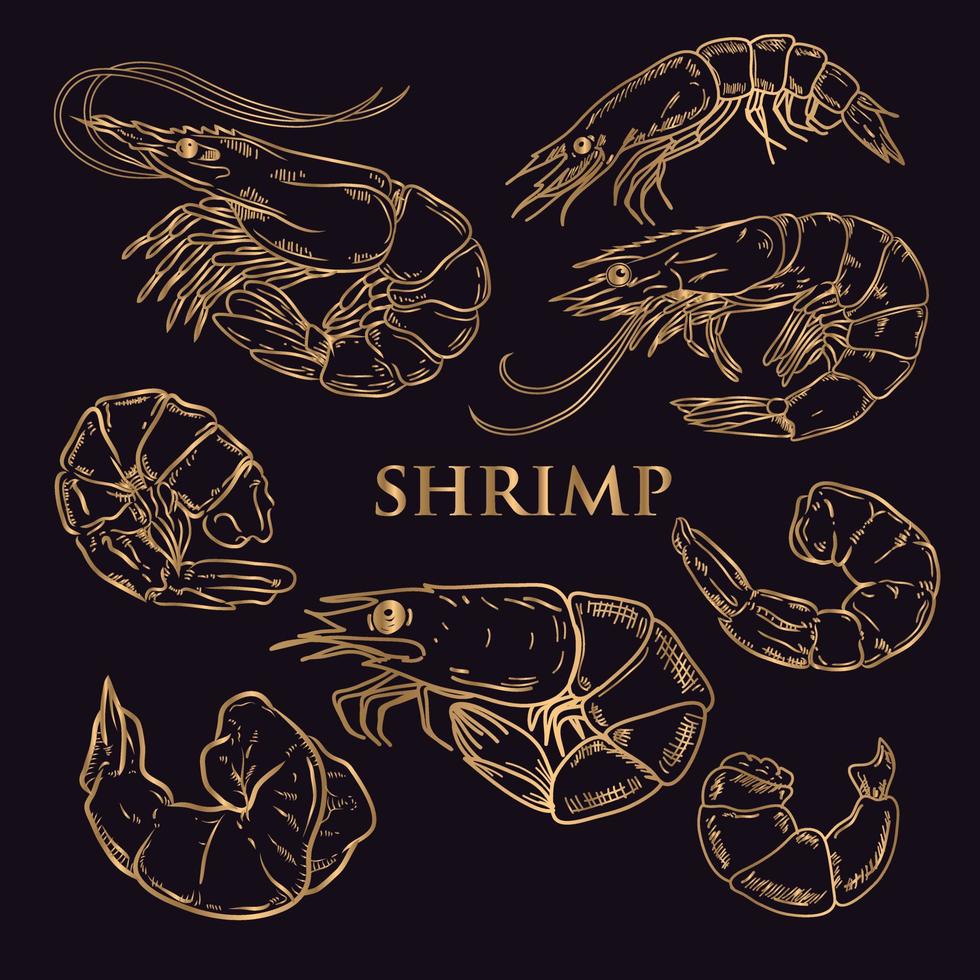 vector drawing golden shrimp on a black background