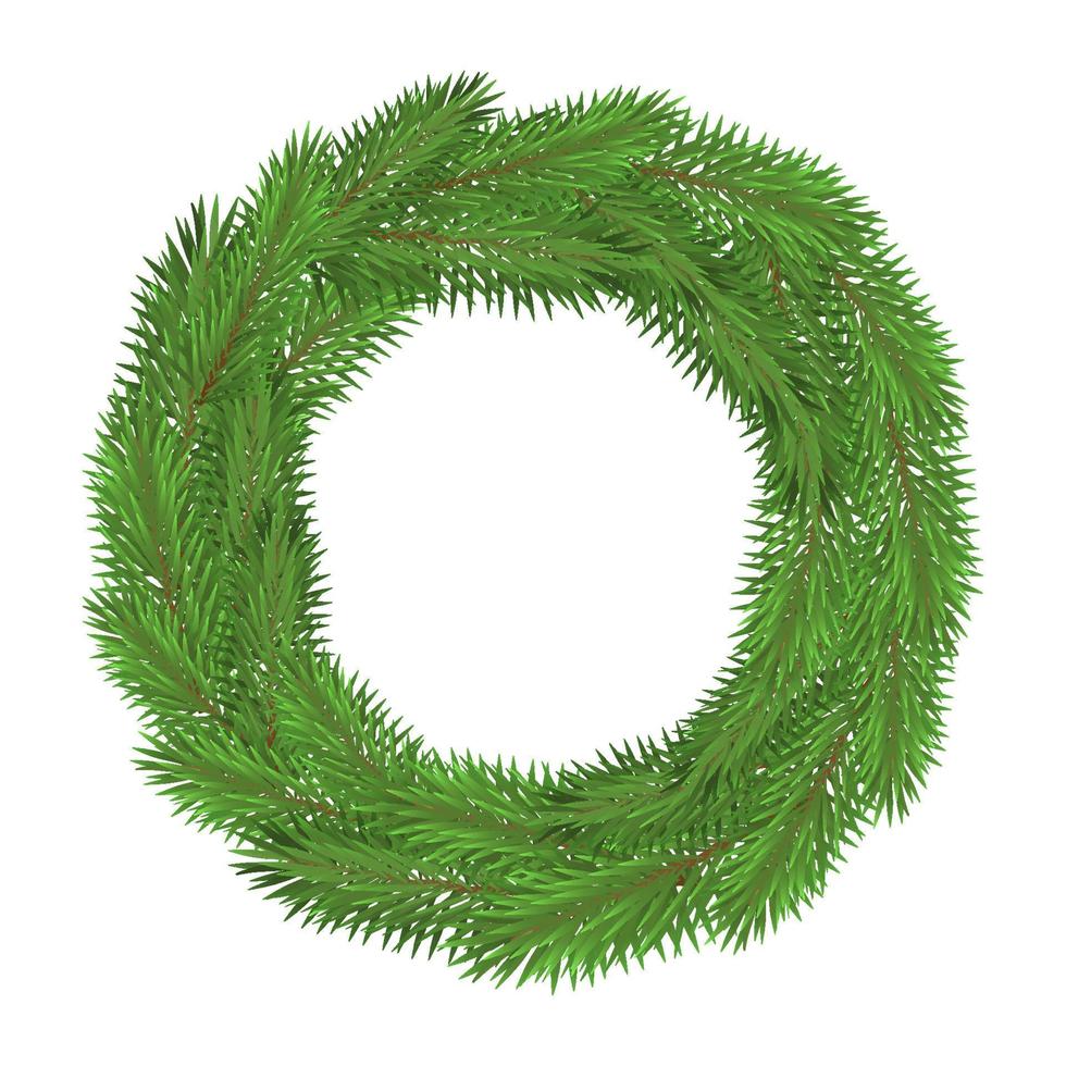 Green christmas tree branches isolated on white background vector